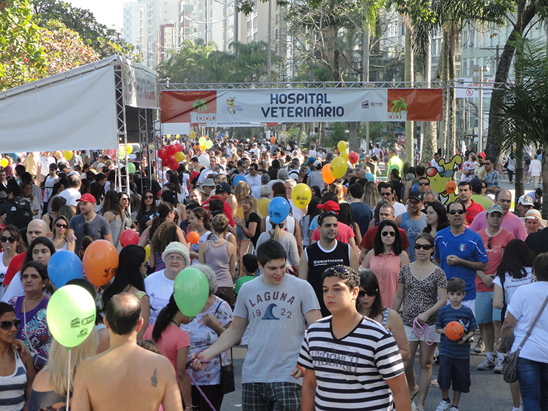 Cãominhada