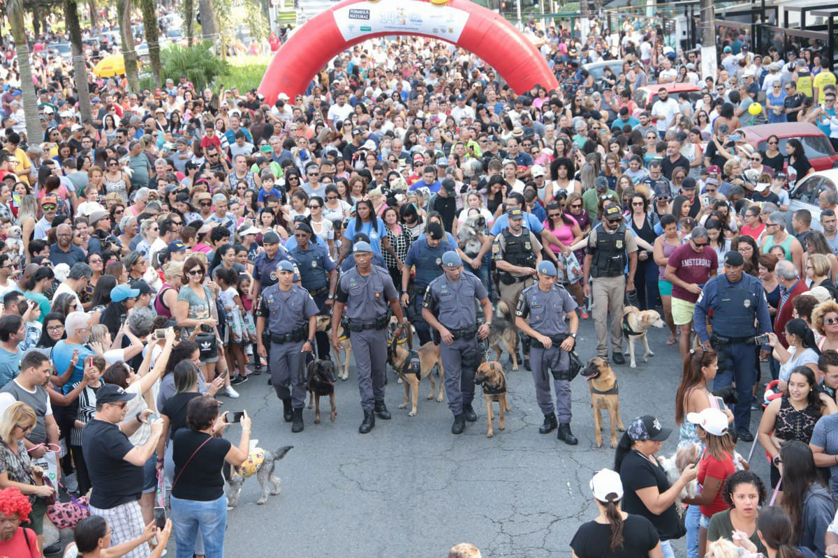 Cãominhada 2019